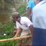 Niat Mencari Pakan Ternak, Seorang Pria di Mamuju Tengah Tewas Diterkam Buaya