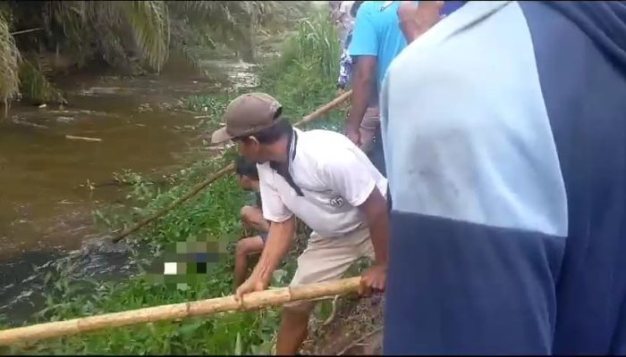 Niat Mencari Pakan Ternak, Seorang Pria di Mamuju Tengah Tewas Diterkam Buaya