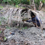Kekeringan Landa Majene, Tanaman Petani Terancam Mati Disiram Pakai Jerigen Tapi Tidak Mempan