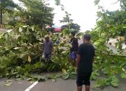 Ini Tiga Tuntutan Warga Untuk PLTU Mamuju, Isu Tenaga Kerja Lokal Turut Disuarakan