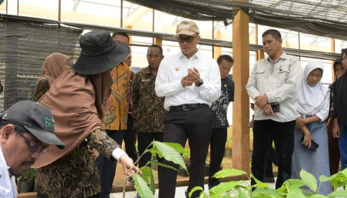 SMK Kakao Sulbar Diminta Berbenah dan Bangun Branding