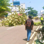 Selain Atap Rumah Rusak, Warga Sekitar PLTU Mamuju Mengaku Gatal-gatal