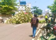 Selain Atap Rumah Rusak, Warga Sekitar PLTU Mamuju Mengaku Gatal-gatal