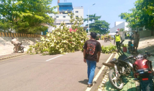 Selain Atap Rumah Rusak, Warga Sekitar PLTU Mamuju Mengaku Gatal-gatal