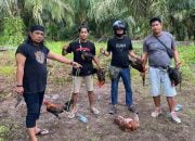 Polisi Gerebek Tempat Sabung Ayam di Leling, Puluhan Motor Diamankan