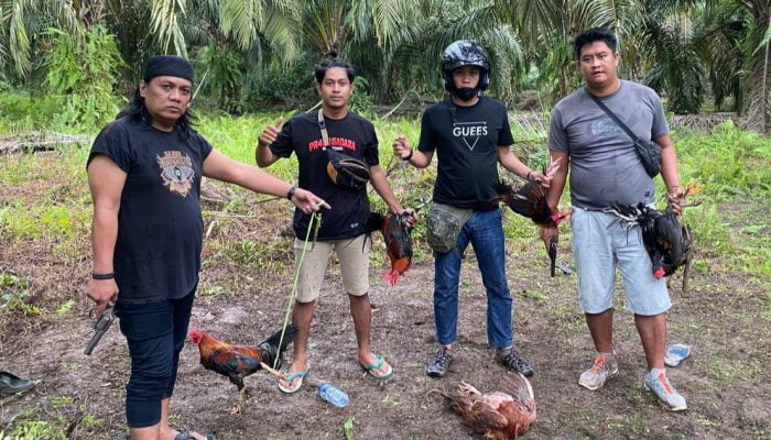 Polisi Gerebek Tempat Sabung Ayam di Leling, Puluhan Motor Diamankan