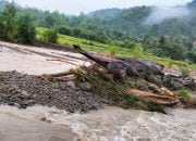 Banjir Pangandaran Mamasa Rusak Puluhan Hektar Padi Siap Panen