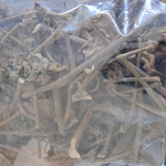 Nilam Mamuju diekspor ke Singapura