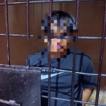 Pelaku pencuri sapi di Mamuju