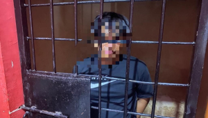 Pelaku pencuri sapi di Mamuju