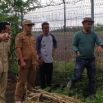 Bandara Tampa Padang Mamuju
