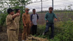 Bandara Tampa Padang Mamuju