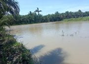 Seorang Warga di Karosso Diterkam Buaya Saat Pasang Pukat di Sungai