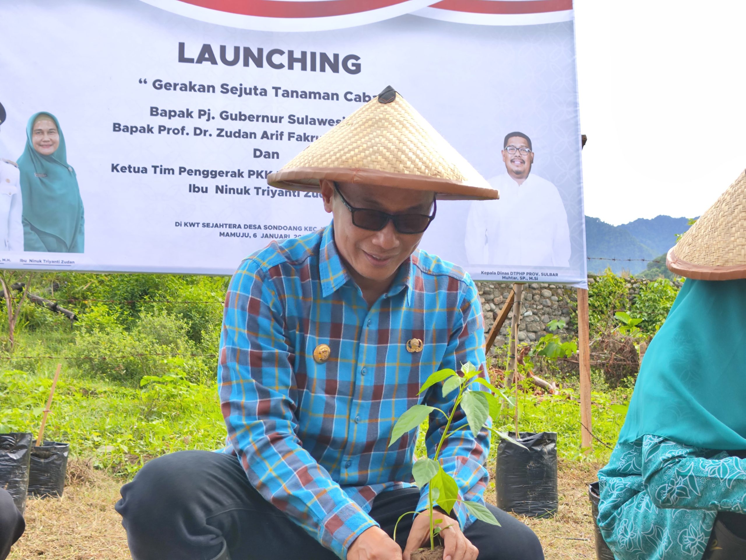 Sejuta Tanaman Cabai di Sulbar