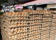 Harga Telur Ayam di Mamuju Melonjak