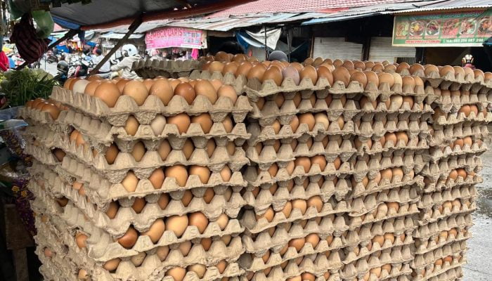 Harga Telur Ayam di Mamuju Melonjak