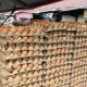 Harga telur ayam di Mamuju