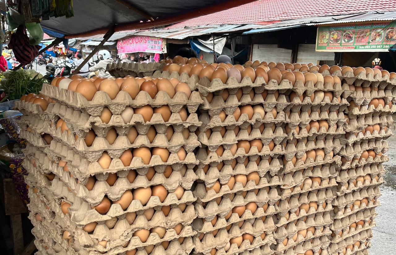 Harga telur ayam di Mamuju