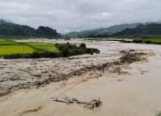 Banjir Bandang Terjang Nosu Mamasa, Ratusan Hektar Sawah Rusak