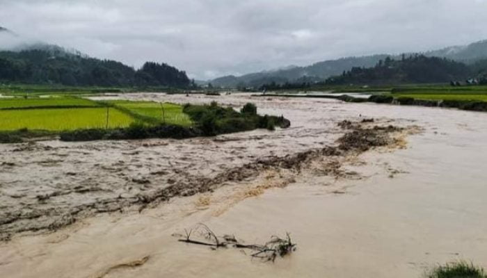 Banjir Bandang Terjang Nosu Mamasa, Ratusan Hektar Sawah Rusak