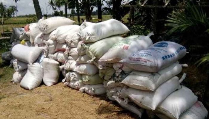 Nasib Malang Petani Penggarap Sawah di Kalukku, 23 Karung Gabah Bagiannya di Gondol Maling