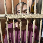 Sopir Mobil lecehkan Perempuan 15 Tahun di Mamuju