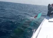 3 Nelayan Dilaporkan Hilang di Perairan Majene, Kapal Ditemukan Terbalik