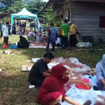 Sapi cacingan di Mamuju