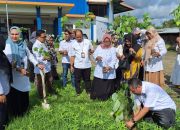 Peringati Hari Lingkungan Hidup, Disdikpora Mamuju Lakukan Aksi Tanam Pohon