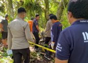 Hilang Sejak Jumat, Seorang Pendeta di Mamuju Ditemukan Tewas di Kebun Jati