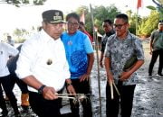 Pj Gubernur Sulbar Lepas Ribuan Bibit Kepiting di Hutan Mangrove Mamuju