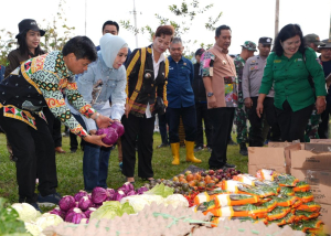Pasar murah pemprov Sulbar di Nosu Mamasa