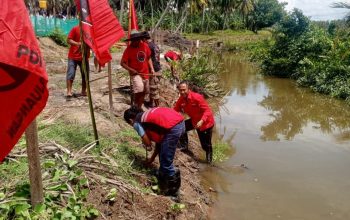 HUT 78 tahun Megawati diperingati PDIP Mamuju