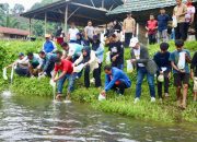 Pemprov Sulbar Canangkan Tebar 100 Juta Ikan Nila, 50 Ribu Ditebar di Kali Mamuju