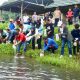 Pemprov Sulbar Canangkan Tebar 100 Juta Ikan Nila, 50 Ribu Ditebar di Kali Mamuju