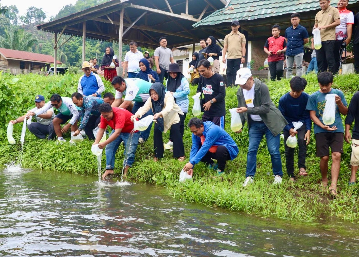 Ikan Nila Sulbar