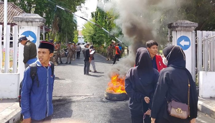 Lamban Tangani Persoalan Krusial, GMNI Polman Demo : Pemkab AFK!