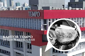 Kantor Tempo Diteror Kepala babi