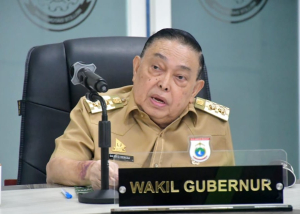 Wakil Gubernur Sulbar