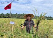 Abdul Halim Wakil Ketua DPRD Sulbar
