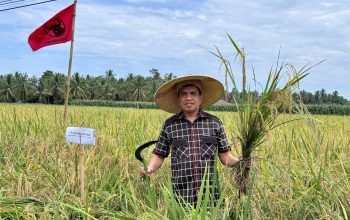 Wakil Ketua DPRD Sulbar Apresiasi Fokus Agus Ambo Djiwa Boyong Bantuan Bibit Untuk Petani