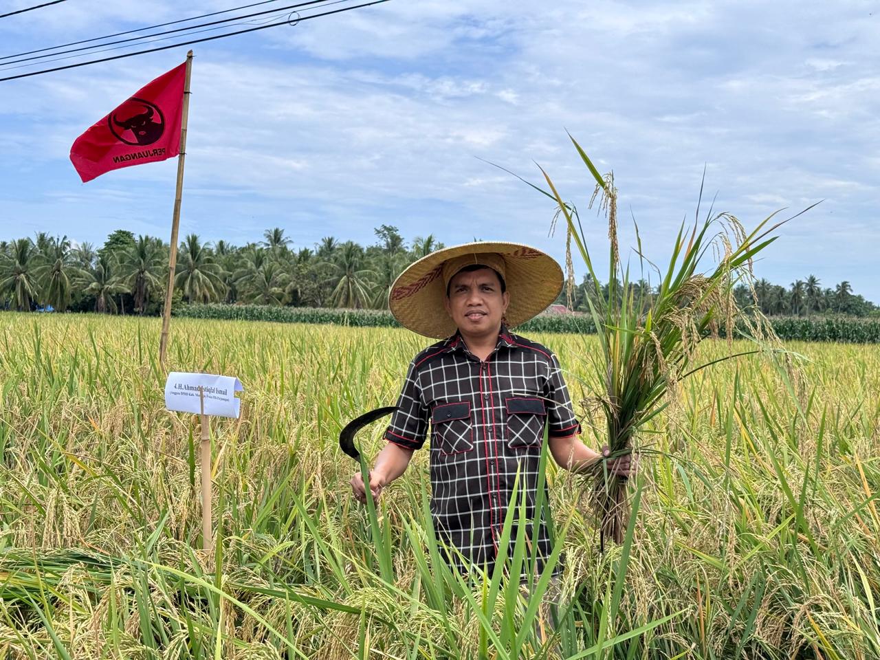 Abdul Halim Wakil Ketua DPRD Sulbar