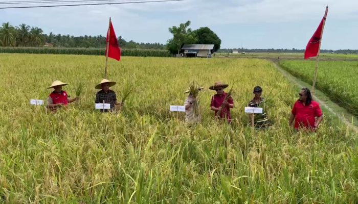 Andi Malik Ajak Petani di Kalukku Tertibkan Kelompok Tani demi Bantuan yang Tepat Sasaran