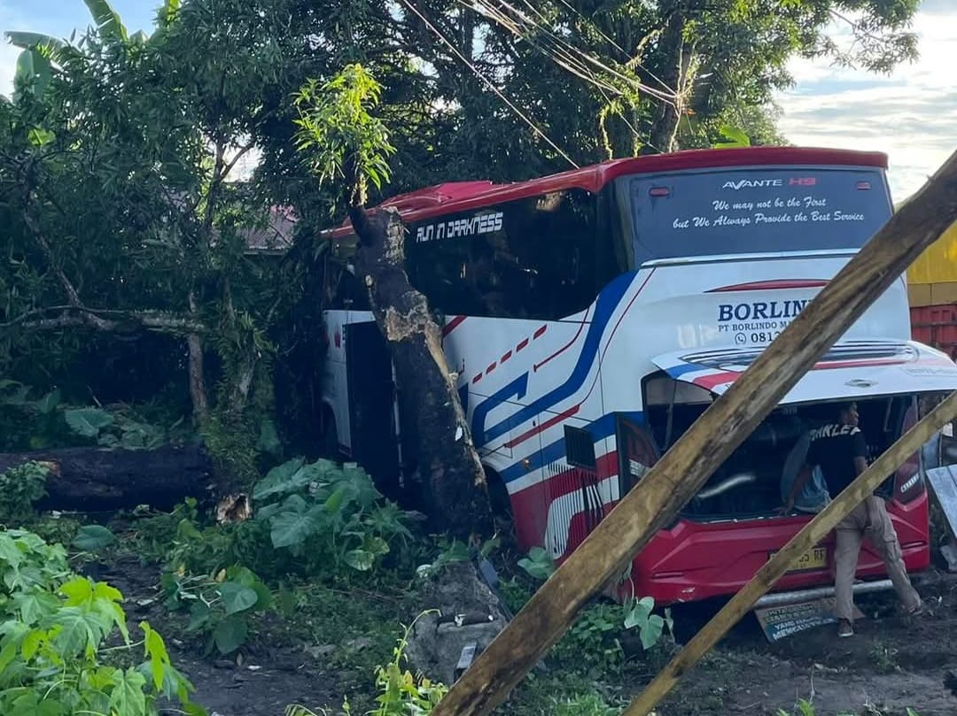 Bus Borlindo Kecelakaan di Tikungan 45