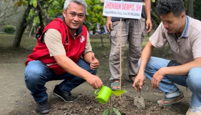 Dapat Bantuan Bibit, Jenhsen Sempo: Kakao Mamuju Harus Bangkit Lagi!