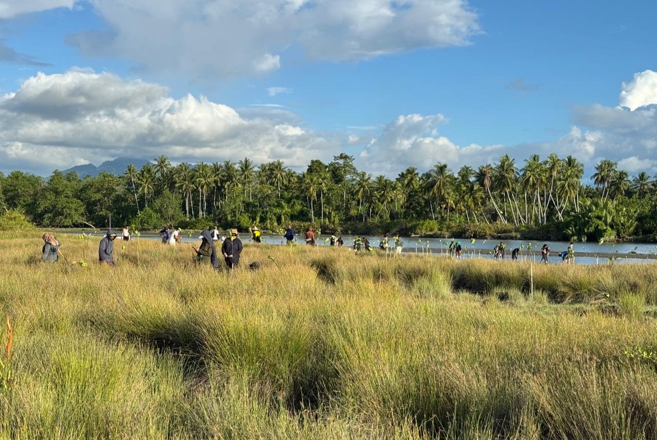 Mangrove di Muara Kalukku