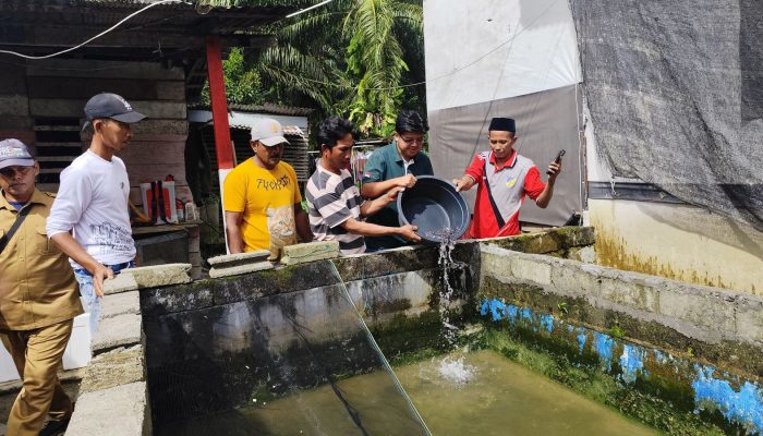 Perkuat Ketahanan Pangan, Astra Agro Lestari Latih Warga Panca Mukti Donggala dengan Budidaya Ikan Lele