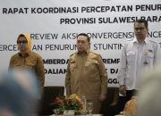 Stunting Bukan Hanya Soal Kemiskinan, Wagub Sulbar: Butuh Pendekatan Budaya dan Edukasi