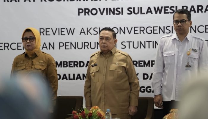 Stunting Bukan Hanya Soal Kemiskinan, Wagub Sulbar: Butuh Pendekatan Budaya dan Edukasi