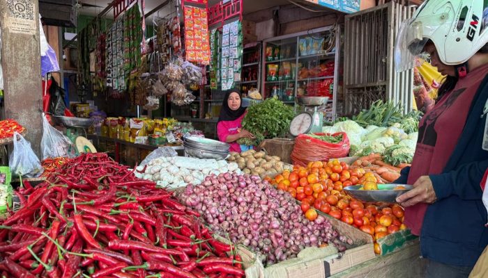 Harga Bawang Merah di Mamuju Tembus Rp 70 Ribu per Kilogram, Tomat Anjlok ke Rp 13 Ribu
